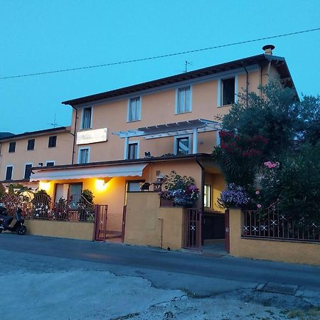 Nonna Lory Bed & Breakfast Pietrasanta Eksteriør bilde