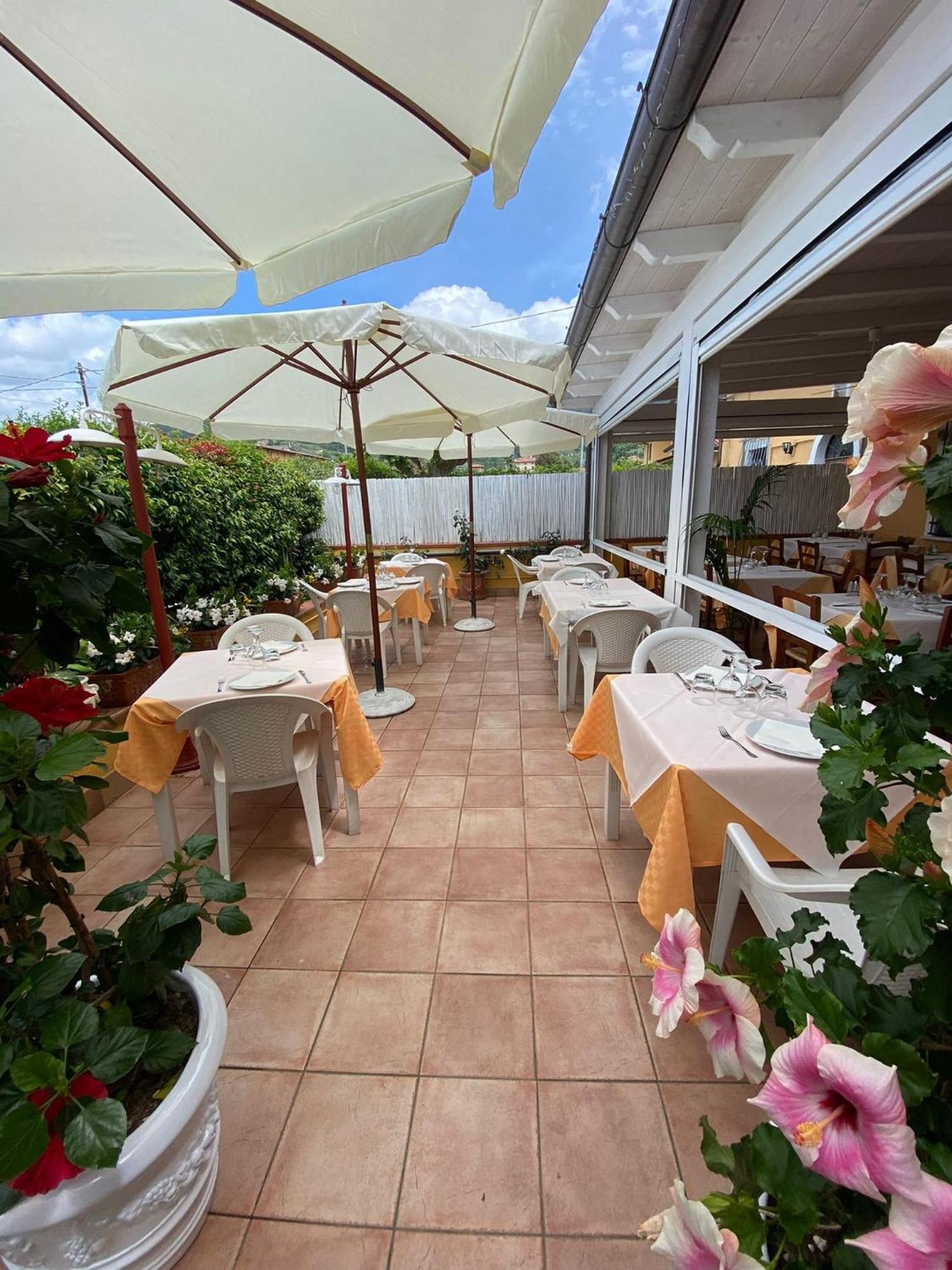 Nonna Lory Bed & Breakfast Pietrasanta Eksteriør bilde
